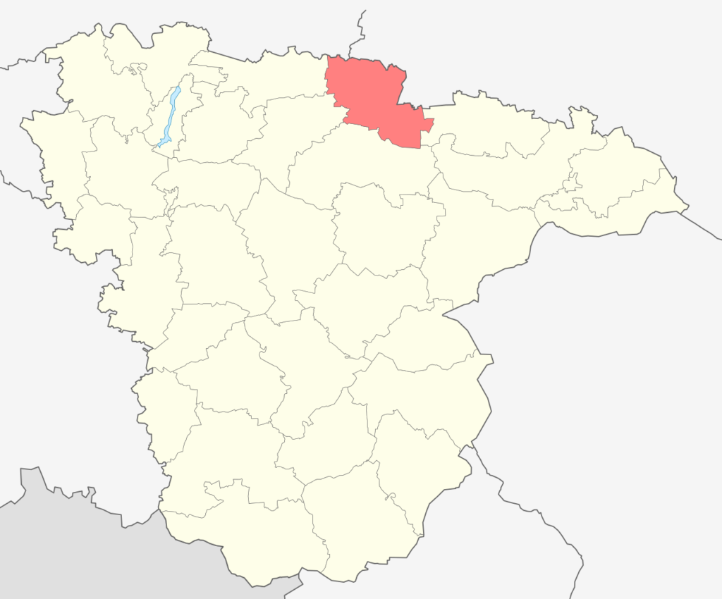 Эртильский район