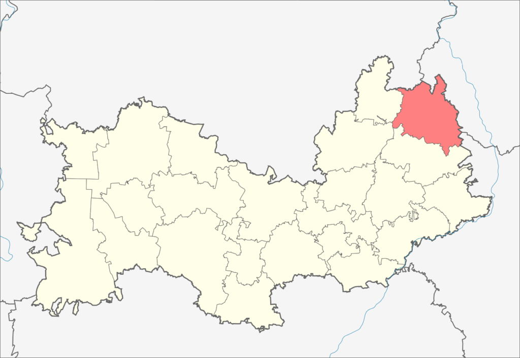 Ардатовский район
