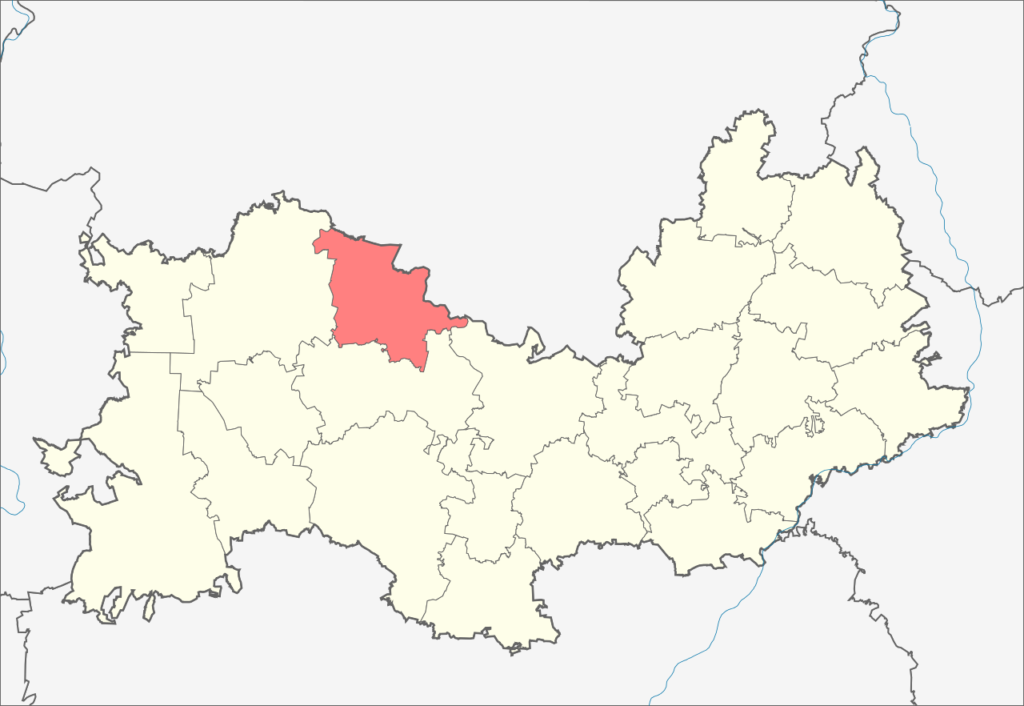 Ельниковский район