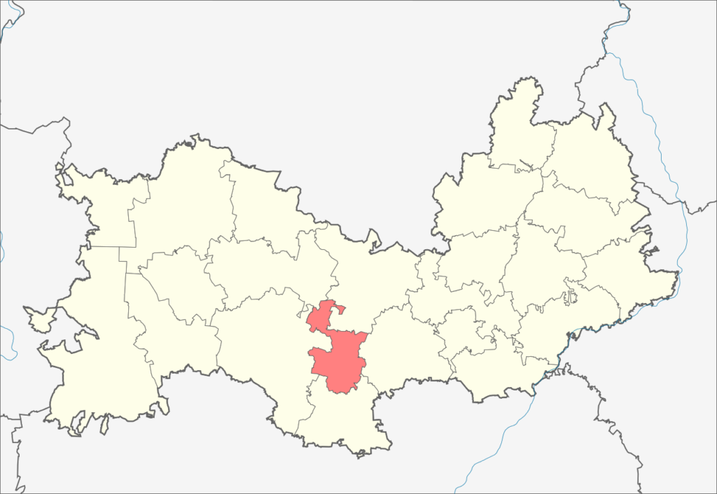 Кадошкинский район